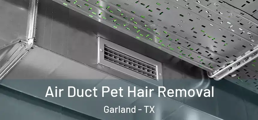Air Duct Pet Hair Removal Garland - TX