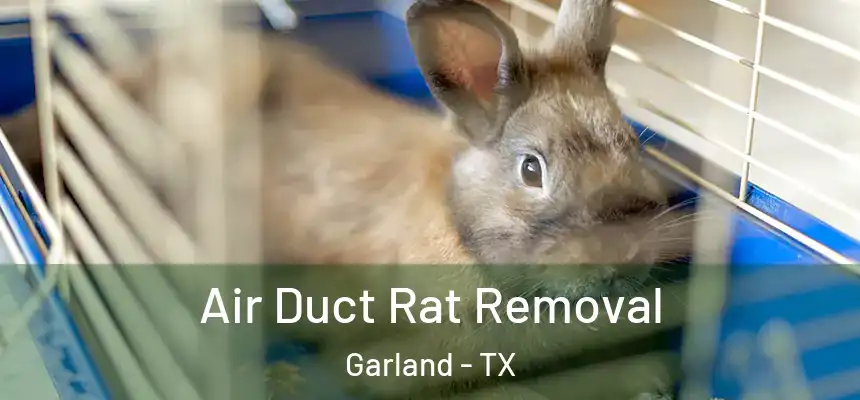 Air Duct Rat Removal Garland - TX