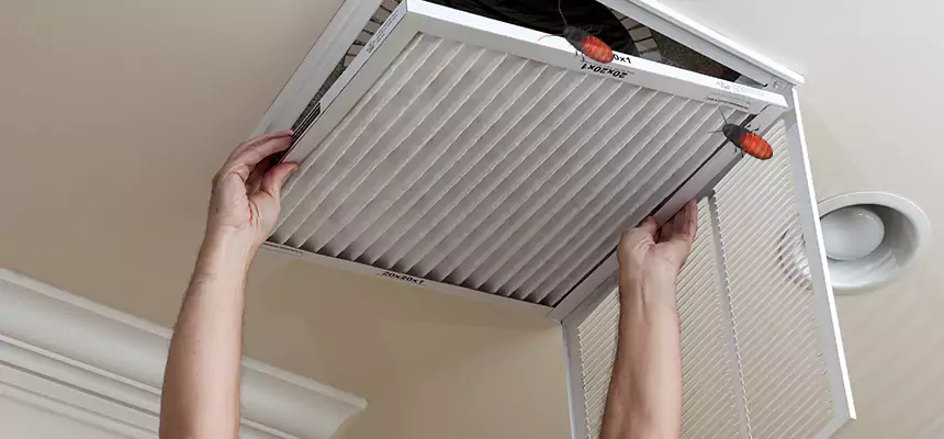 Preventive Cockroach-Proofing for Ducts in Garland