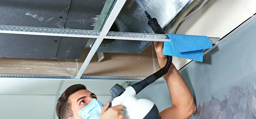 Our Air Duct Rodent Removal Services in Garland, TX