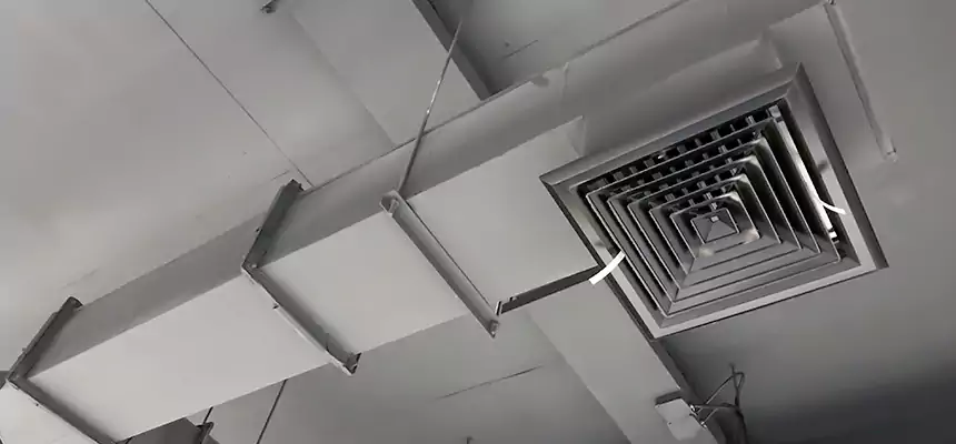 Our Rodent Droppings In Vents Services in Garland, TX