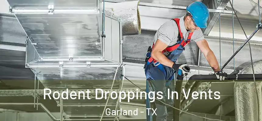  Rodent Droppings In Vents Garland - TX