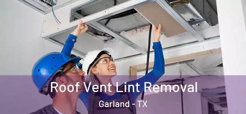  Roof Vent Lint Removal Garland - TX