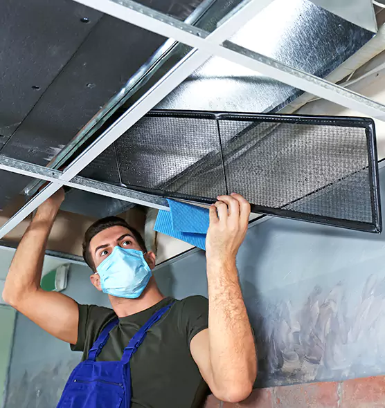 About Air Duct Bacteria Removal in Garland