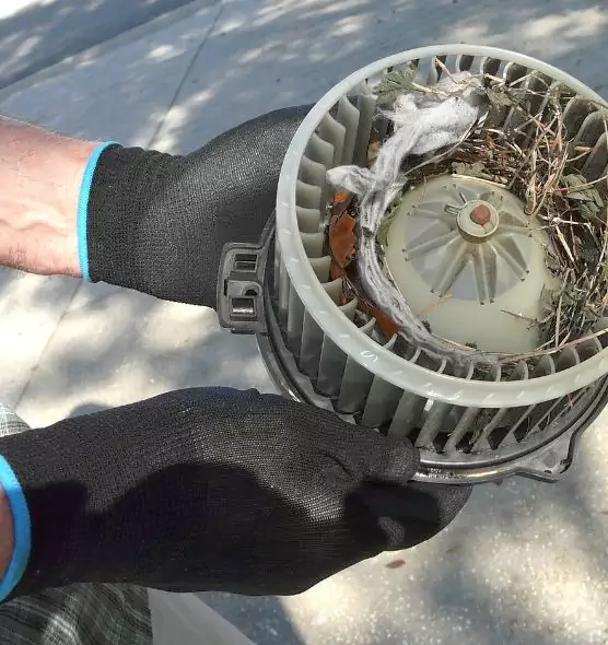 About Air Duct Mice Removal in Garland, TX