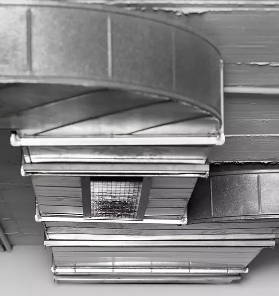 Professional Air Duct Pest Removal in Garland, TX