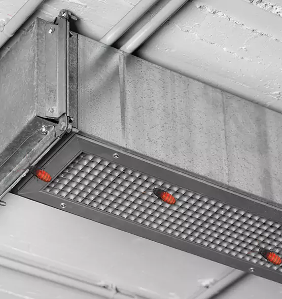 Affordable Insect Removal from Air Ducts in Garland, TX