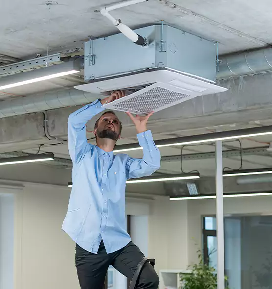 Advanced Rodent Droppings In Vents in Garland, TX