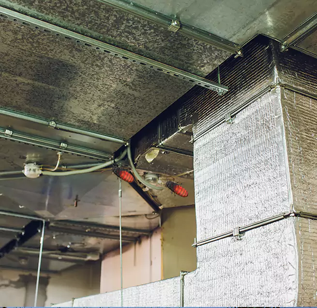 Why Homeowners & Businesses Trust Us in Garland, TX?